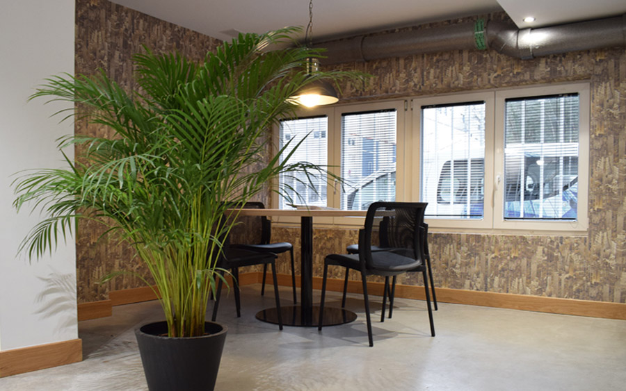 Foto oficina passive house